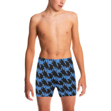 Load image into Gallery viewer, Big Boys' Swimming Trunks