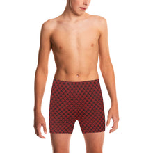 Load image into Gallery viewer, Big Boys' Swimming Trunks