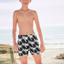 Load image into Gallery viewer, Big Boys' Swimming Trunks