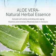 Load image into Gallery viewer, Bluwaii Aloe Skin Care Set
